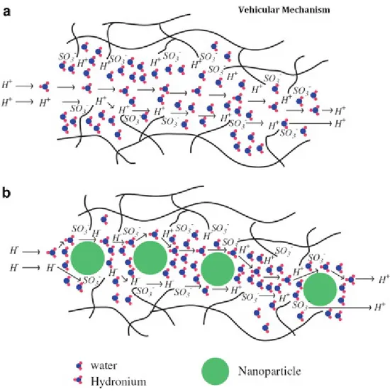 Figure 1.4.4: Schematic design of the Vehicular Mechanism as proton conduction in (a)  pristine membranes and (b) polymer/ nano-particle composite membranes