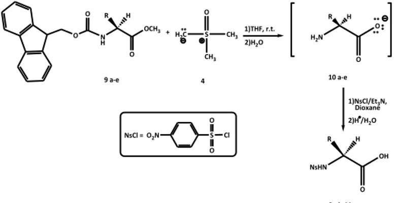 Table 2. Results of the reaction of N-Fmoc-α-amino acid methyl esters  9a-e with dimethylsulfoxonium methylide (4)