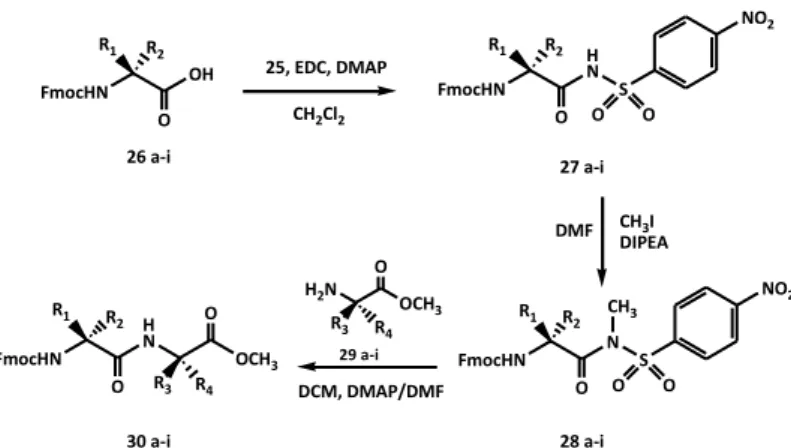 Table 4. Results of the reactions of synthesis of N-Fmoc-α-aminoacyl- N-Fmoc-α-aminoacyl-4-nitrobenzene-sulfonamides  (27a-i),     N-Fmoc-α-aminoacyl-N-methyl-4-nitrobenzene-sulfonamides  (28a-i),  and  N-Fmoc-dipeptide  methyl  esters (30a-i)