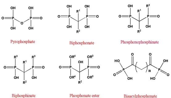 Fig.  1 Structure  of  the  endogenous  pyrophosphonate,  and  its  synthetic  analogue,  bisphosphonate  (BP),  which  exhibit  a  strong  bone  affinity