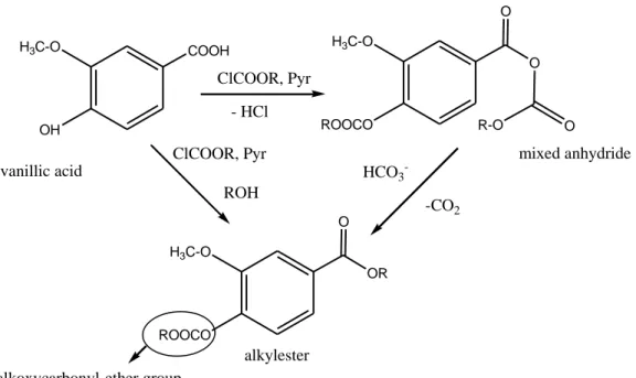 Figure 8. Reaction scheme of the phenolic acids derivatization treated with chloroformates  (Possible formation of mixed anhydride and alkylester via different pathways)
