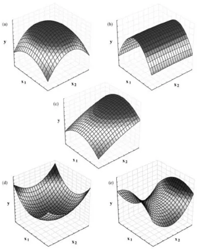 Figure  17  .  Some  profiles  of  surface  response  generated  from  a  quadratic  model  in  the  optimization  of  two  variables