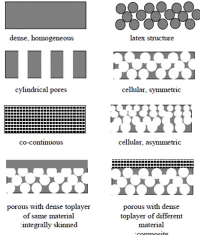 Figure 1.2-5 Schematic representation of different membrane morphologies . 