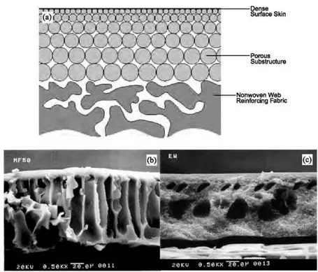 Figure 1.3-2 Schematic representation of asymmetric structure. Cross-section  illustration of (a) an integrally skinned asymmetric membrane, plus SEM cross sections 