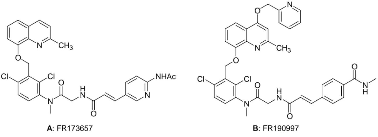 Figure 1.8:  FR173657 antagonist B2 (A), FR190997 agonist B2 (B). 