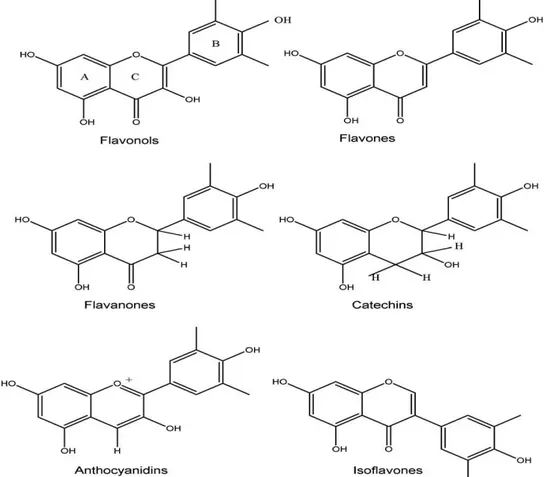 Fig. 1. Molecular structures of flavonoids. The basic structure consists of the fused A and C ring, with the phenyl ring B  attached to through its 10 position to the 2-position of the C ring (numbered from the pyran oxygen)