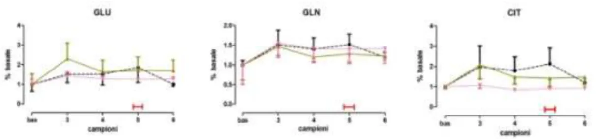 Fig 4.7: livelli di glutammato (GLU); glutammina (GLN); citrullina (CIT), espressi in % rispetto al valore basale  normalizzato ad 1, nell’ippocampo ventrale, dopo trattamento acuto per via sistemica (i.p.) con jojoba (500 µl/kg,  n=5  )BEO (500 µl/kg, n=7