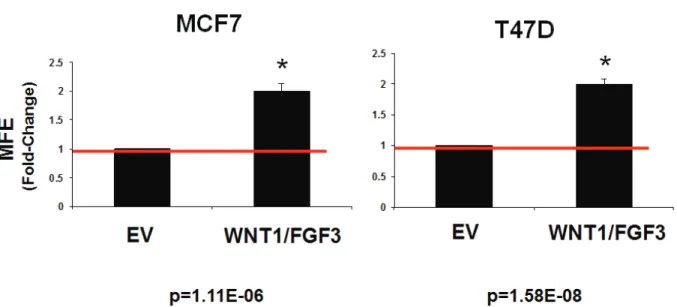 Figure 3: conditioned media from Wnt1/FGF3 expressing McF7 cells increases mammosphere formation