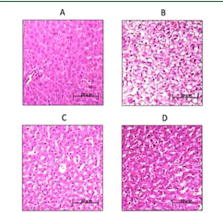 Table 3. Bilirubin, Creatinine, ALT, and AST Serum Levels in Rats a