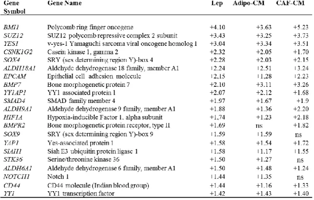 Table 3. Selection of relevant modulated genes involved in stem cell biology in MCF-7 