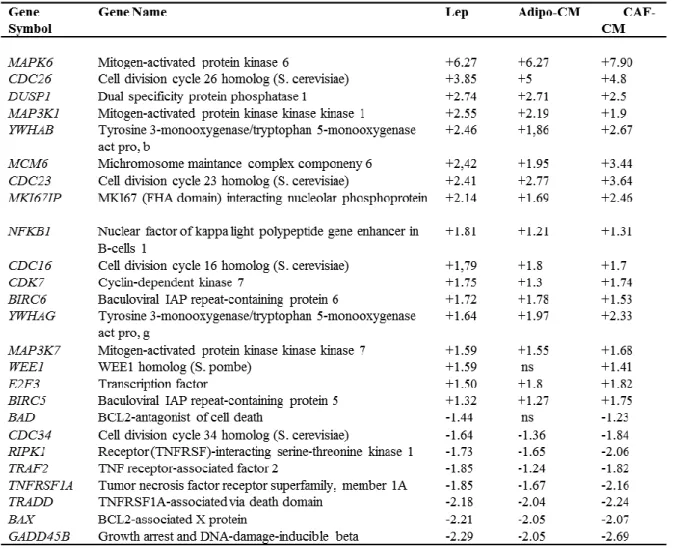 Table 4. Selection of relevant modulated genes involved in cell cycle control in MCF-7 