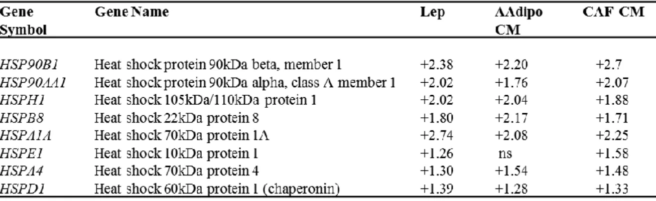 Table 5. Expression profile of Heat shock protein family related genes in MCF-7 M2 