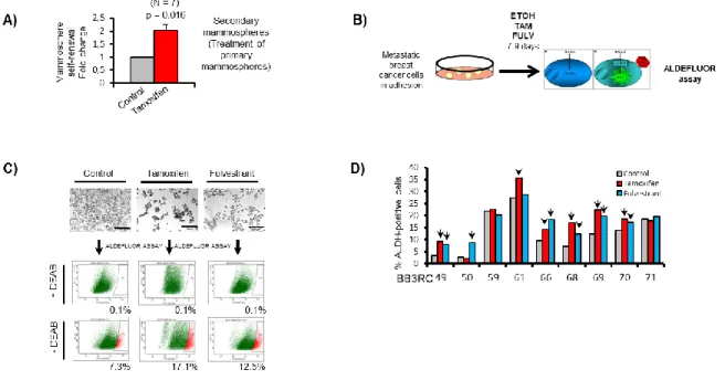 Figure  15:  Tamoxifen  or  Fulvestrant  treatment  of  ER+  patient-derived samples  enriches  for  cells  with  CSC  properties