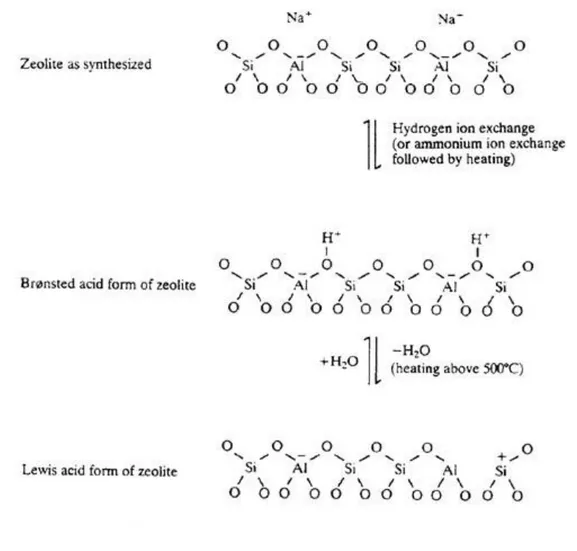Figura  3.1.4.1a  Schema  per  la  generazione  di  siti  acidi  di  Bronsted  e  Lewis  nelle 
