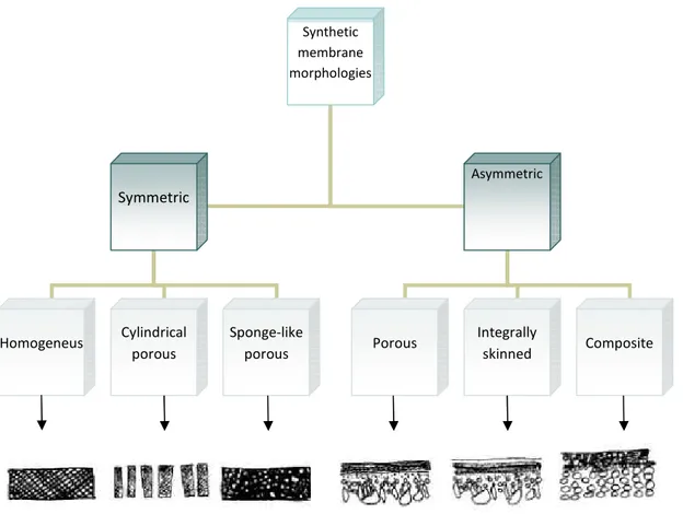 Fig. 2.2 Classificazione delle membrane sintetiche 