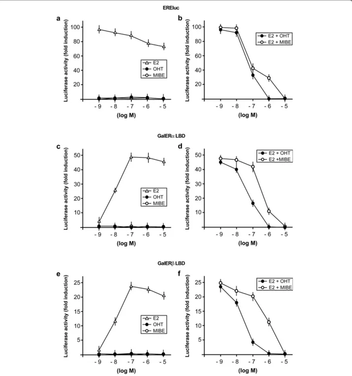 Figure 4 MIBE inhibits the transactivation of ERalpha induced by E2. (a) MCF7 cells were transfected with the ER luciferase reporter gene (EREluc) along with the internal transfection control Renilla Luciferase and treated with increasing concentrations (l