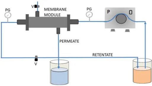 Figure 2.1. Schematic representation of microfiltration/ultrafiltration system. PG: pressure  gauges, P: pump, V: valve