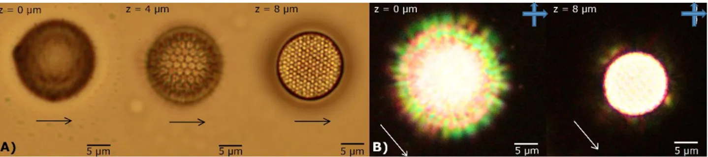 Figure  2.14:  Cylinder  of  15x15x8  µm 3 ,  with  2  µm  shell  thick  and  tetrahedral  scaffold, observed  in 