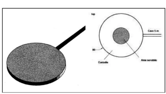 Figura 31. Visione schematica di una piastra di flusso 