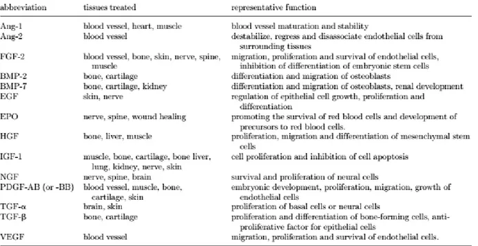 Table  1.1  Common  growth  factors  in  tissue  regeneration.  Ang,  angiopoietin; bFGF,  basic  fibroblast  growth  factor; 