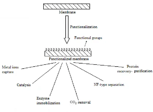 Fig. 1.2. Applications of functionalized membranes. 