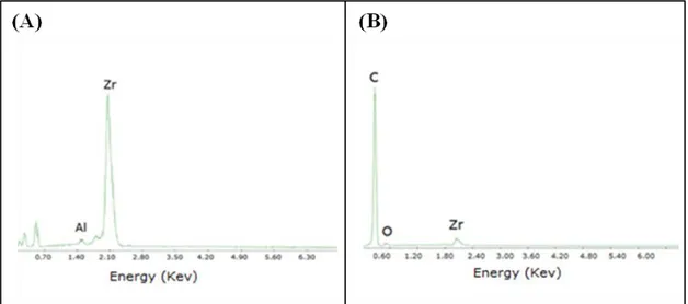 Figure  4.2  SEM/EDX  analysis  carried  out  on  fragments  of  (A)  unmodified  and  (B)  lipase- lipase-loaded ceramic membrane 