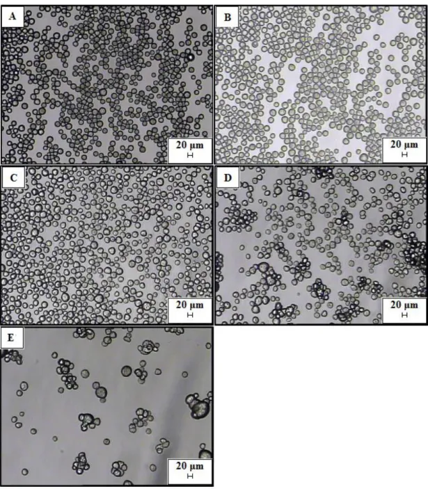 Figure  5.4  Optical  microscope  pictures  of  microparticles  produced  by  membrane  emulsification/solvent diffusion at decreased V sd /V theoretic :A) V sd /V theoretic  = 6, B) V sd /V theoretic =3, 