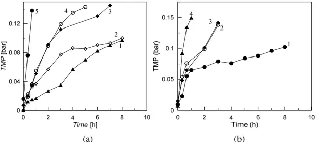 Figure 9 : Operational stability of a) Xyl SP  (0.3 mg/mL wheat arabinoxylan feed, 17 