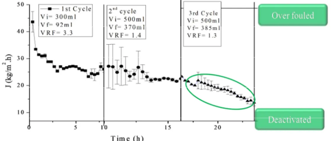 Figure a : Flux performance of biocatalytic PE HF membrane over three different cycles