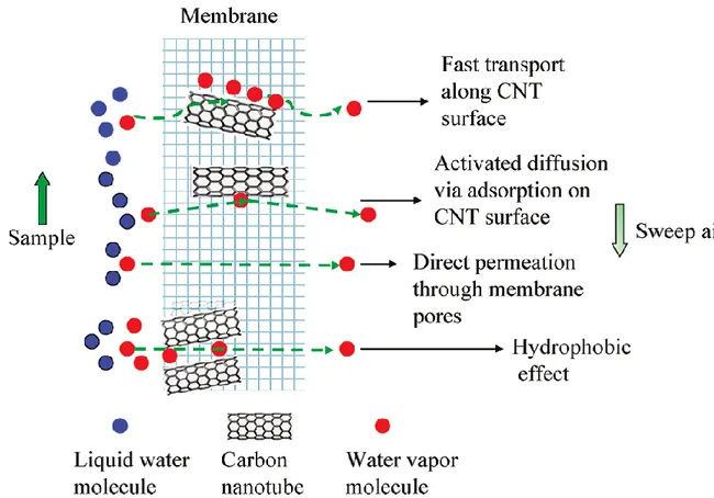 Figure 2.3: MD mechanism for the membranes containing CNTs in their matrix [47]  3. Process understanding and modeling  