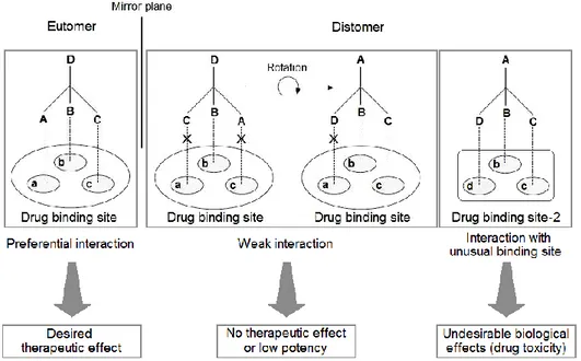 Figure 1.2.   The Hypothetical Interaction Between the two Enantiomers of a Chiral Drug and  Its Binding Site 