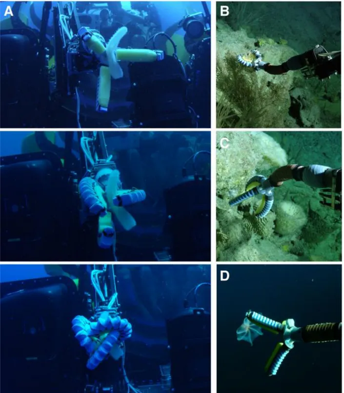 Figure 1. 46. Field testing using a Triton 3K3 manned submersible vehicle. (A) Image sequence of the  soft manipulator grasping a midwater pyrosome (Pyrosoma atlanticum) in the water column, as observed  from a diver
