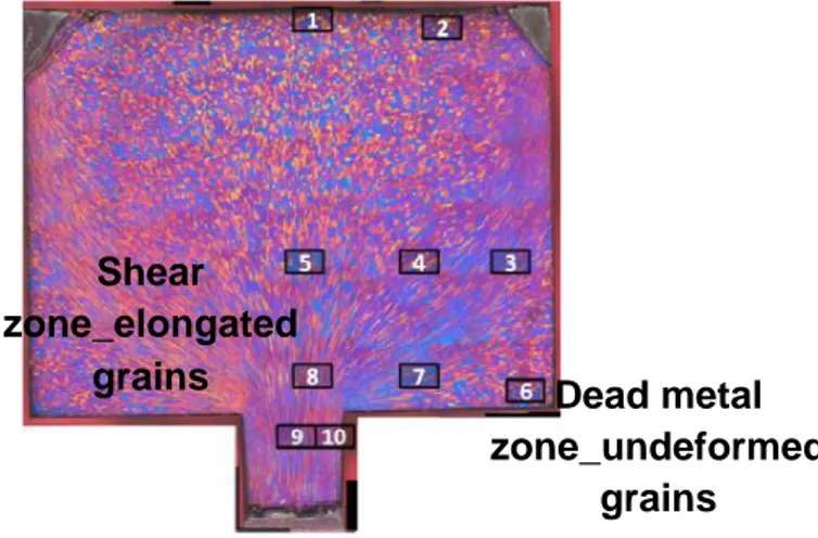 Figure 2.1. Grains configuration of AA6060 aluminum alloy during an extrusion process, [18]  The  profile  microstructure  is  characterized  by  very  elongated  grains  with  onset  of  serration and grains pinch-off: thinner grains are found on the prof