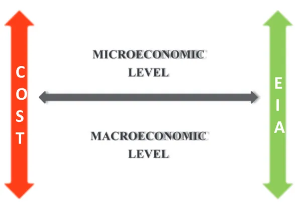 Fig. 3.1: Microeconomic and macroeconomic level of analysis   