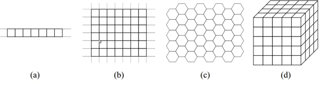 Figure 2.2: Examples of cellular spaces. (a) 1-D, (b) 2-D squared cells, (c) 2-D hexagonal cells, (d) 3-D cubic cells.