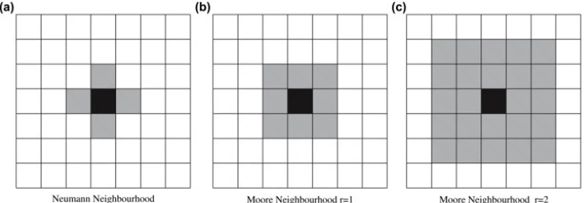 Figure 2.3: Examples of different kind of neighborhood with different radius values.