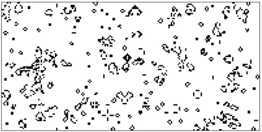 Figure 2.8: GOL execution example.