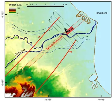Fig. 2.18. Sibari fault zone trace by Cinti et al. (2015 in press) based on its evidence in the Sybaris archeological site