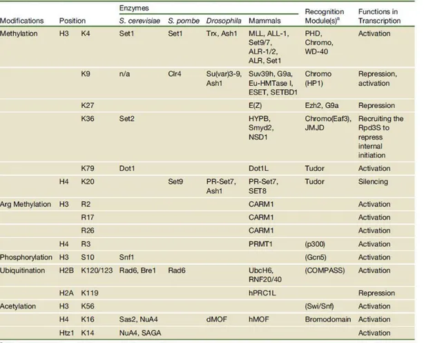 Table  1.  Overview  of  different  classes  of  modification  identified  on  histones