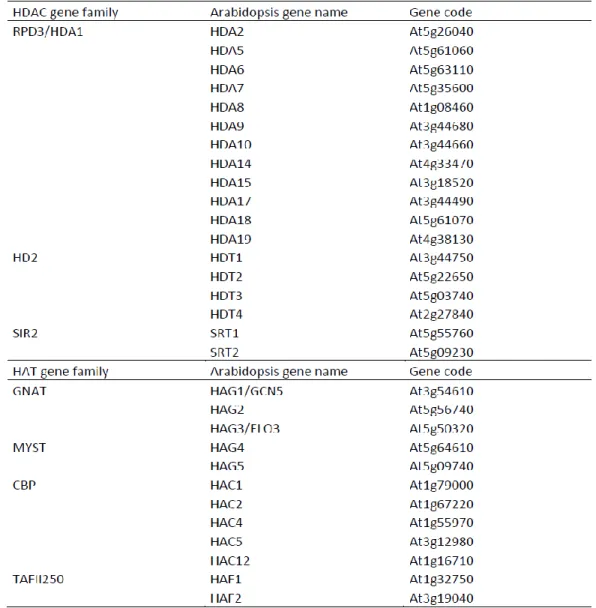Table 2. Genes encoding HAT and HDAC homologs in Arabidopsis (modified from Pandey, et al., 2002)