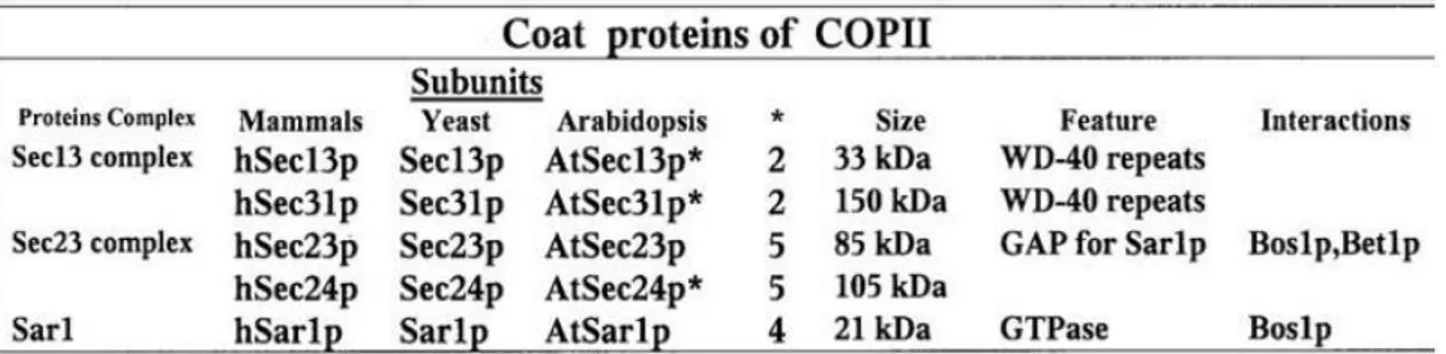 Table 1. Coat GTPases and their Effectors 