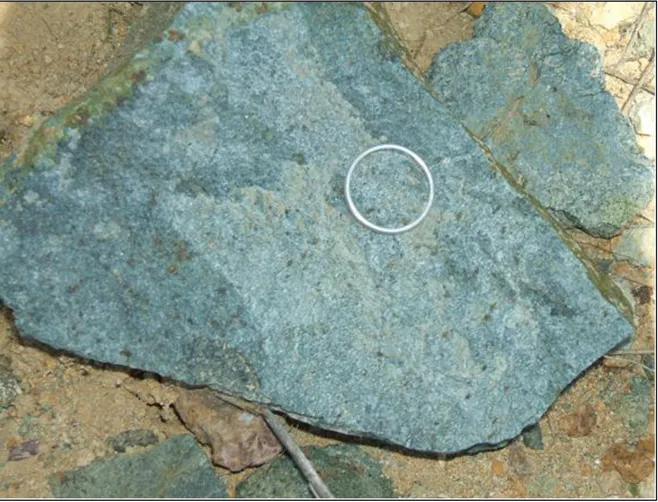 Fig. 3.24: Gabbro con colorazione azzurra, il cerchio nella foto ha un diametro di 2cm  
