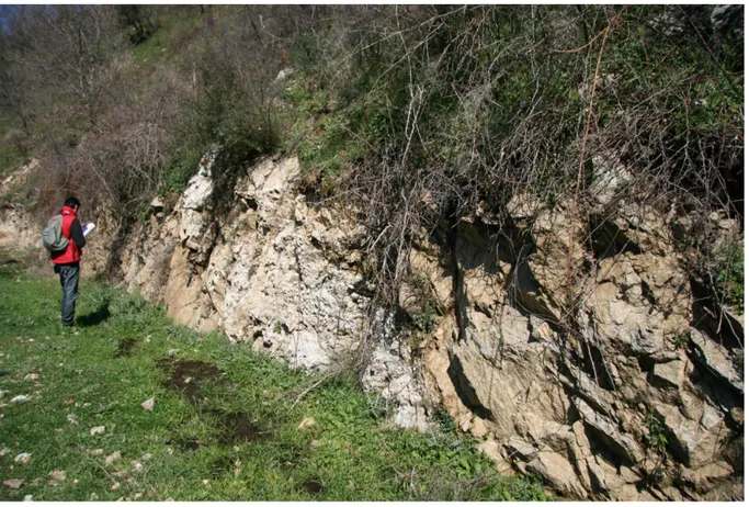 Fig. 32. Filone aplitico di colore bianco associato alle rocce gneissiche. Località: Ricetto