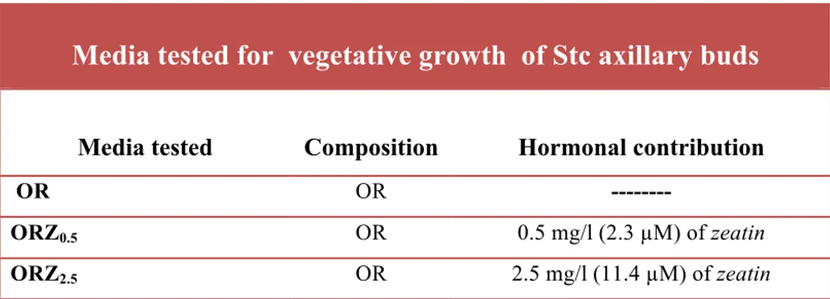 Tab.  4.2.5:  Growth  medium  tested  for  “in  vitro”  stabilization  of  Stc s   of  Olea  europaea  L.subsp