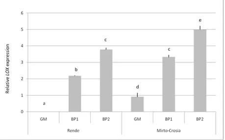 Fig. 4. Expression levels of LOX gene in ‘Coratina’ cv drupes harvested at 