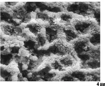 Figure 1.8. SEM image of a Gel-like bitumen as taken from ref. [55]. 