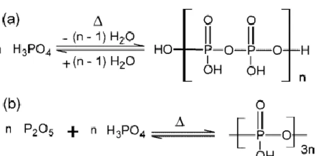 Figure 3.1.  Production of PPA from the (a) dehydration and (b) dispersion methods. n is an integer