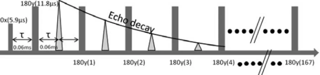 Figure 1. The echo detection pulse sequence used in the present paper.
