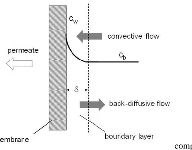 Fig. 1.6. Schematic representation of concentration polarization (c w  = gel concentration;  c b  = bulk concentration)