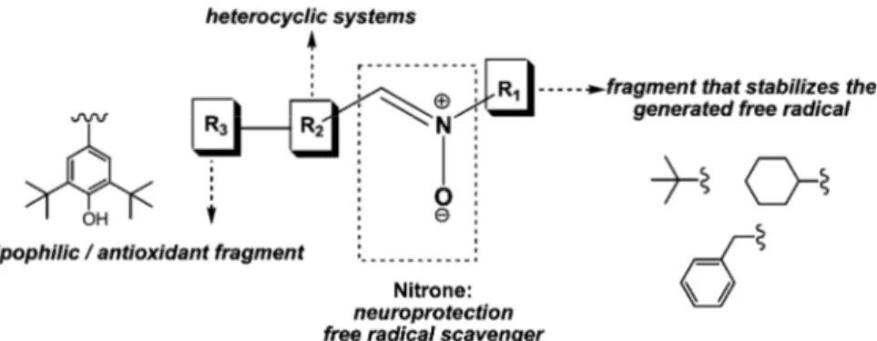 Figure  2.1:  Heteroarylnitrones  designed  as  potential  drugs  for  neurodegenerative 